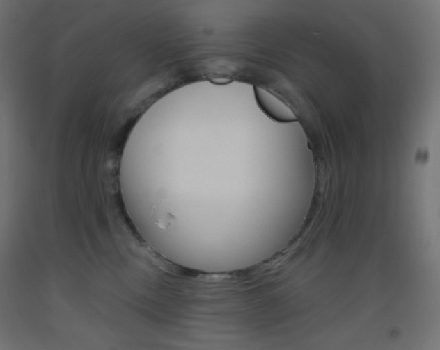 X0000093520378200710121133