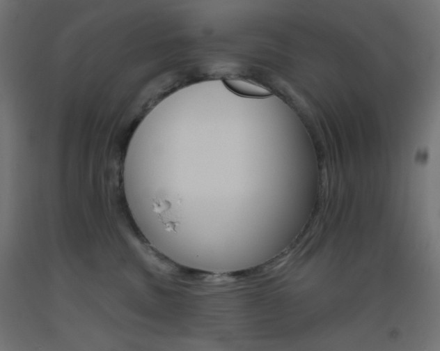 X0000093520379200710121133