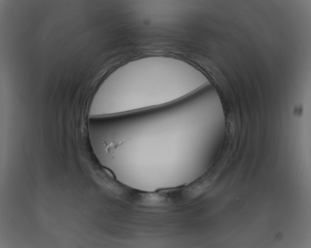 X0000093520380200710121133