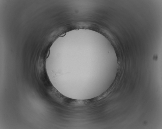 X0000093520381200710121133