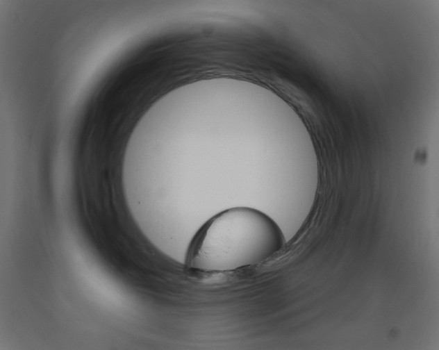 X0000093520382200710121133