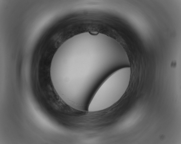 X0000093520383200710121133