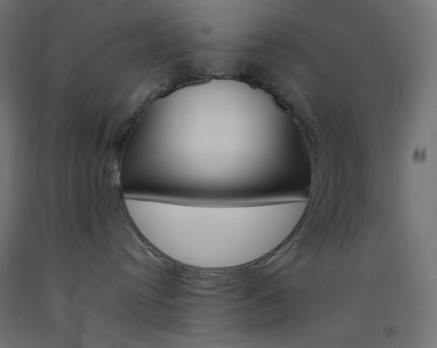 X0000093520384200710121133