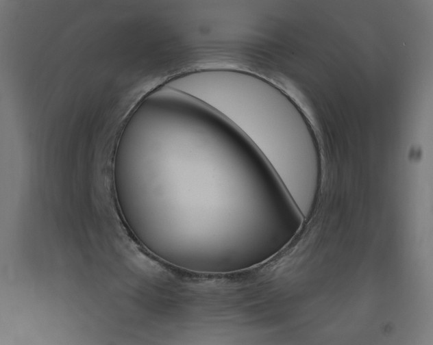 X0000093520385200710121132