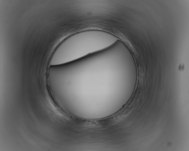 X0000093520386200710121132