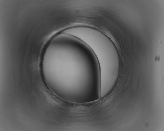 X0000093520387200710121132