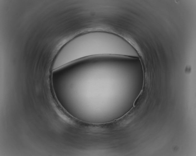 X0000093520389200710121132