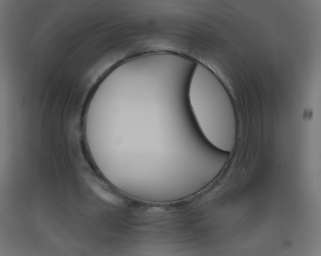 X0000093520390200710121132