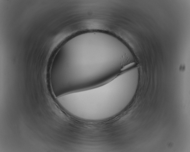 X0000093520391200710121132