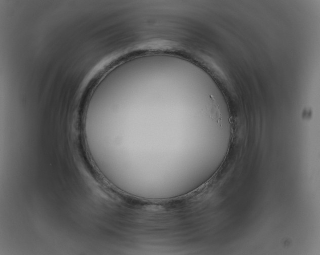 X0000093520392200710121132