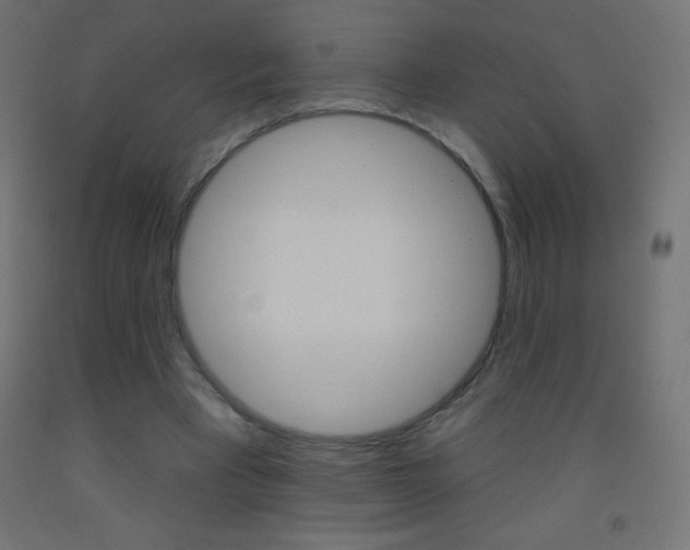 X0000093520393200710121132