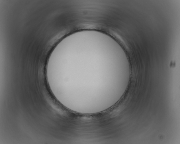 X0000093520394200710121132