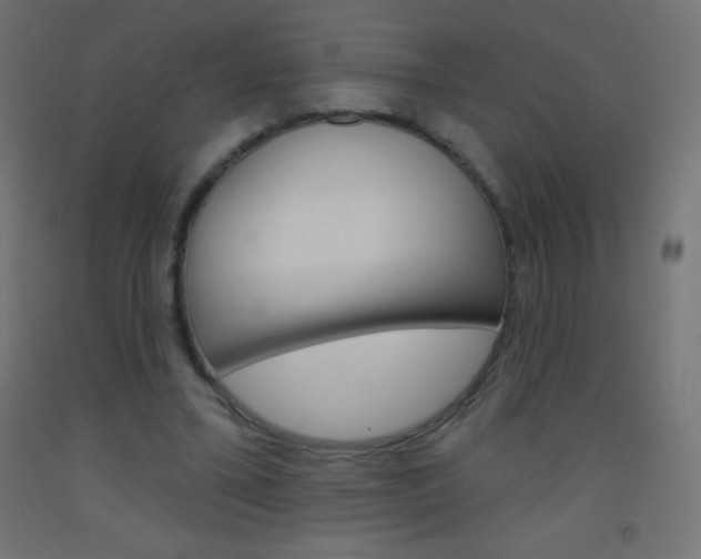 X0000093520395200710121132