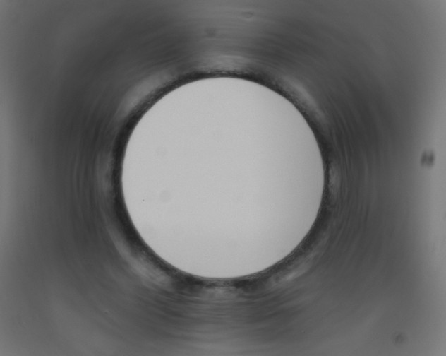 X0000093520396200710121132