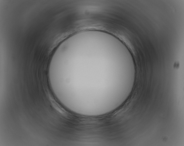 X0000093520397200710121132