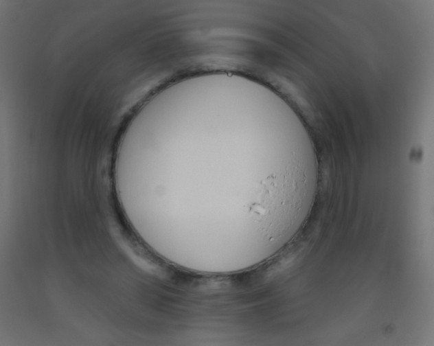 X0000093520398200710121132