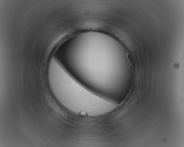 X0000093520399200710121132