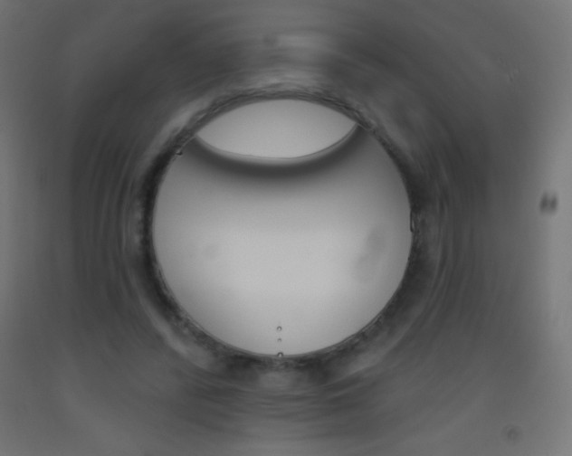 X0000093520400200710121132