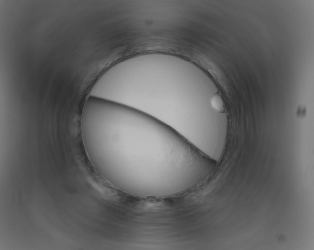X0000093520401200710121132