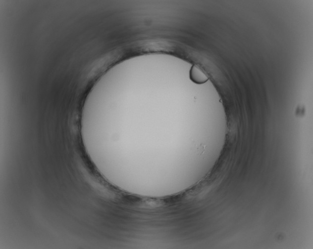 X0000093520402200710121132