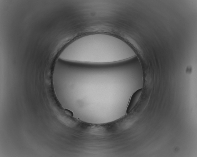 X0000093520403200710121132