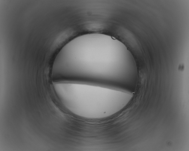 X0000093520404200710121132