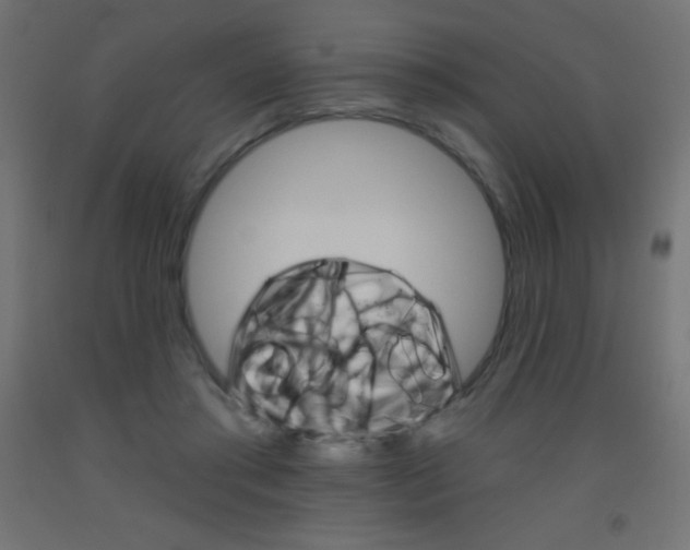 X0000093520405200710121132