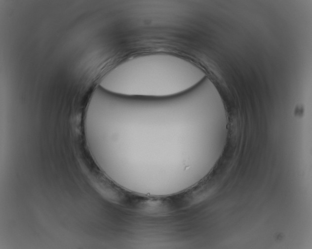 X0000093520406200710121132