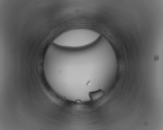 X0000093520408200710121132