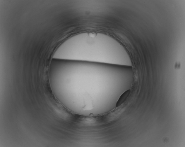 X0000093520409200710121132