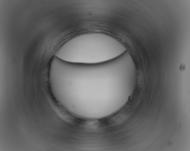X0000093520410200710121132