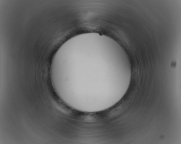 X0000093520412200710121132