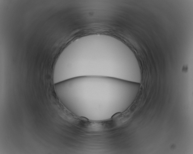 X0000093520413200710121132