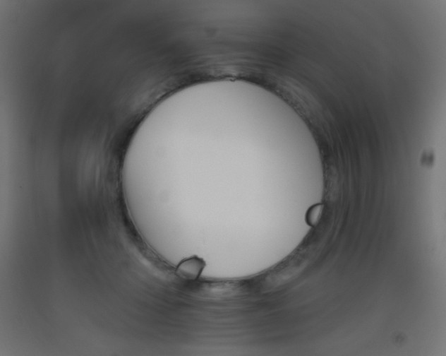 X0000093520414200710121132