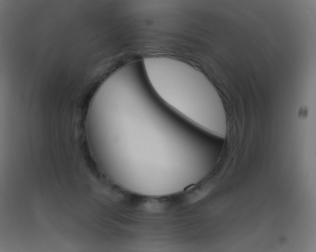 X0000093520416200710121132