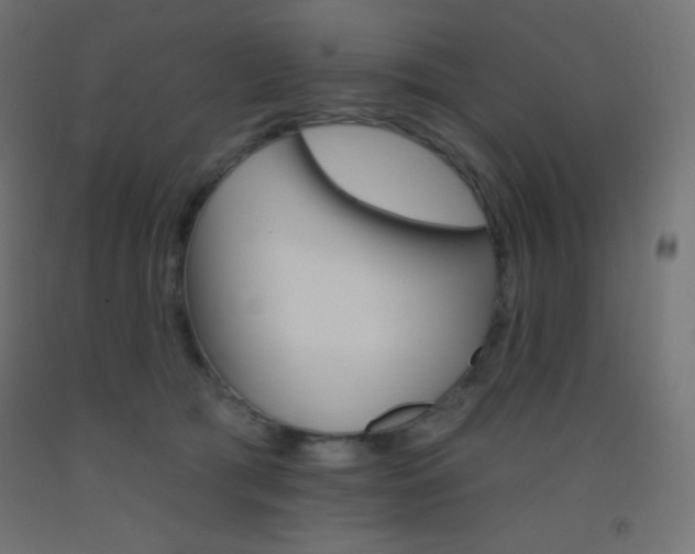X0000093520417200710121132