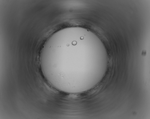 X0000093520418200710121132