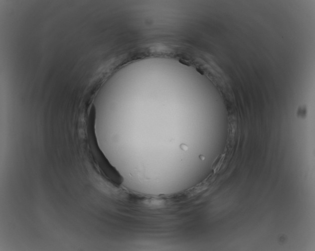 X0000093520419200710121132