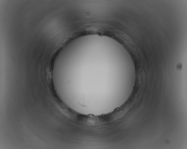X0000093520420200710121132