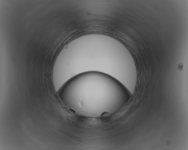 X0000093520421200710121132