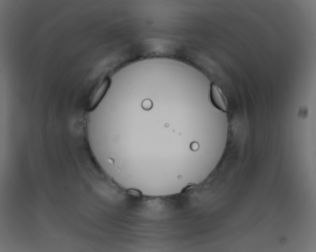 X0000093520423200710121132