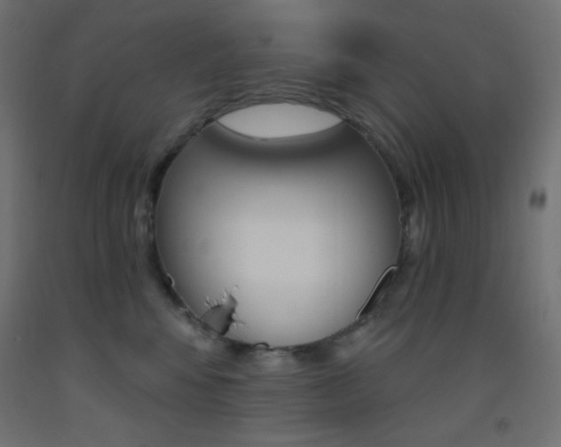 X0000093520424200710121132