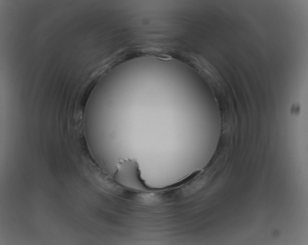 X0000093520425200710121132