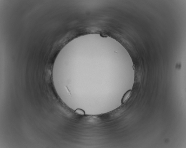 X0000093520427200710121132