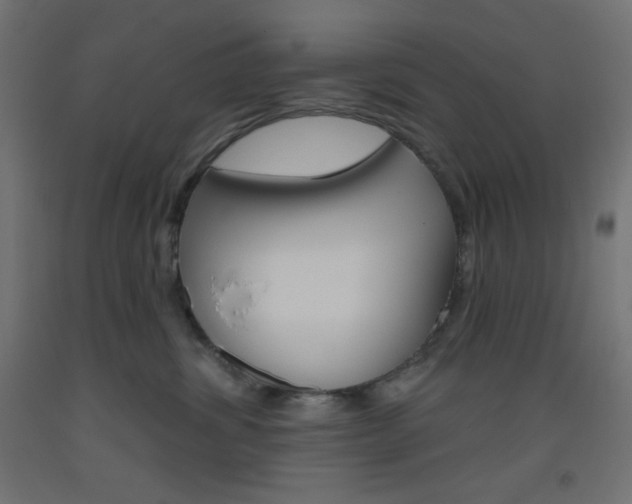 X0000093520428200710121132