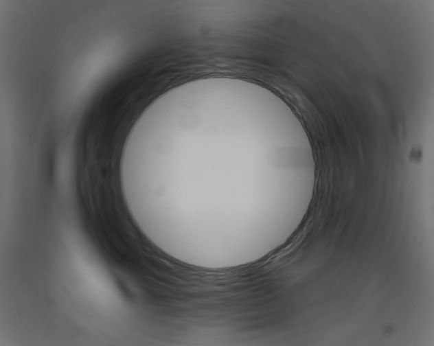 X0000093520429200710121132