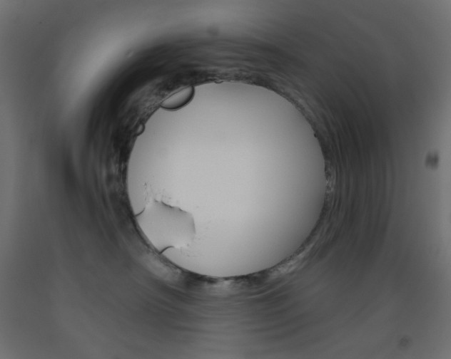 X0000093520430200710121131