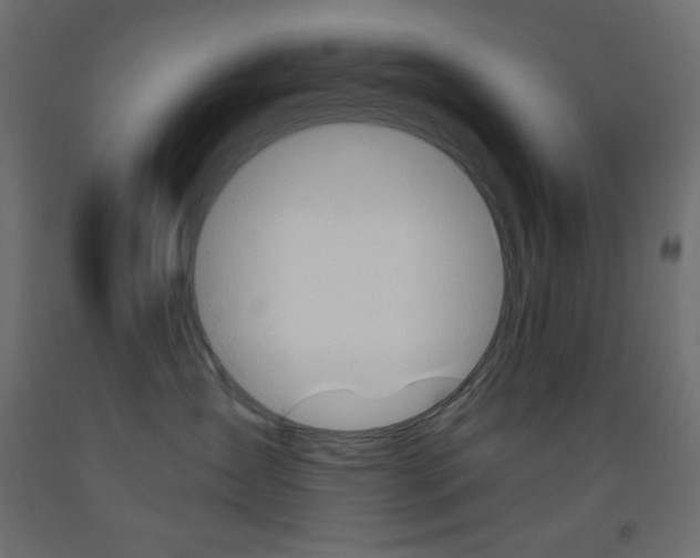 X0000093520431200710121131