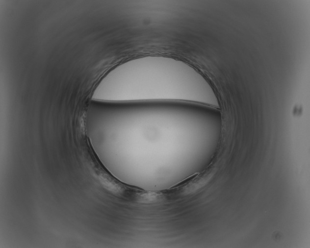 X0000093520432200710121131