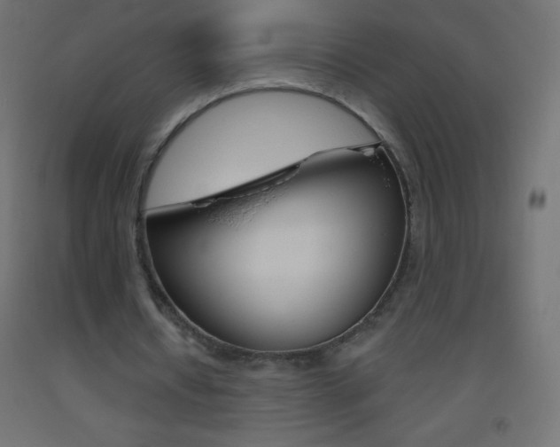 X0000093520434200710121131